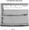 Fig. 10 - NON-ANIMAL BASED PROTEIN SOURCES WITH FUNCTIONAL PROPERTIES