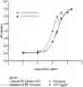 Fig. 01 - KITS AND CONTAINERS FOR TREATING VIMENTIN EXPRESSING TUMORS