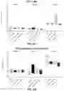 Fig. 10 - CD8 BINDING AGENTS AND USES THEREOF