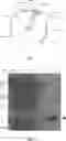 Fig. 09 - NANO ANTIBODY AND USE THEREOF