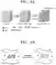 Fig. 02 - ELECTRICALLY CONDUCTIVE ELASTOMER AND METHOD OF SYNTHESIZING THE SAME