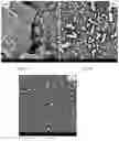 Fig. 02 - COMPOSTABLE OXYGEN BARRIER COMPRISING A BIODEGRADABLE POLYMER MATRIX AND BIOCARBON