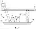 Fig. 02 - PIGMENTED PASSIVE RADIATIVE COOLING COATING