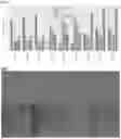 Fig. 07 - MESENCHYMAL STEM CELL THERAPIES
