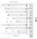 Fig. 09 - RECOMBINANT YEAST HOST CELL EXPRESSING AN HYDROLASE