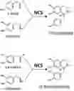 Fig. 01 - Norcoclaurine synthases with increased activity