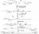 Fig. 01 - METHODS AND COMPOSITIONS FOR HIGH-FIDELITY SEQUENCE ANALYSIS OF INDIVIDUAL LONG AND ULTRALONG NUCLEIC ACID MOLECULES