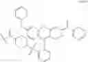 Fig. 197 - METHODS AND COMPOSITIONS USEFUL FOR NUCLEIC ACID SEQUENCING