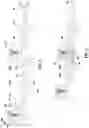 Fig. 04 - Couplers for light fixtures