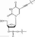 Fig. 02 - METHOD FOR IMMOBILIZING NUCLEIC ACID COMPOUND, REAGENT KIT, AND SENSOR