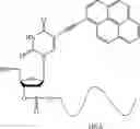 Fig. 06 - METHOD FOR IMMOBILIZING NUCLEIC ACID COMPOUND, REAGENT KIT, AND SENSOR