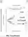 Fig. 09 - CIRCULATING CARDIOVASCULAR BIOMARKERS AND VASCULAR STABILIZING THERAPY