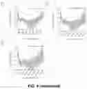 Fig. 12 - CIRCULATING CARDIOVASCULAR BIOMARKERS AND VASCULAR STABILIZING THERAPY