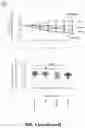 Fig. 14 - CIRCULATING CARDIOVASCULAR BIOMARKERS AND VASCULAR STABILIZING THERAPY