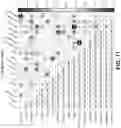 Fig. 27 - CIRCULATING CARDIOVASCULAR BIOMARKERS AND VASCULAR STABILIZING THERAPY