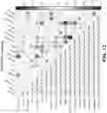 Fig. 28 - CIRCULATING CARDIOVASCULAR BIOMARKERS AND VASCULAR STABILIZING THERAPY