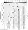 Fig. 29 - CIRCULATING CARDIOVASCULAR BIOMARKERS AND VASCULAR STABILIZING THERAPY