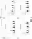 Fig. 37 - CIRCULATING CARDIOVASCULAR BIOMARKERS AND VASCULAR STABILIZING THERAPY
