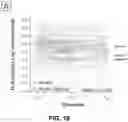 Fig. 40 - CIRCULATING CARDIOVASCULAR BIOMARKERS AND VASCULAR STABILIZING THERAPY