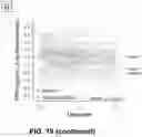 Fig. 41 - CIRCULATING CARDIOVASCULAR BIOMARKERS AND VASCULAR STABILIZING THERAPY