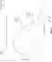 Fig. 05 - External illumination with reduced detectability
