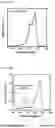Fig. 04 - Method for surface functionalization using single photon source
