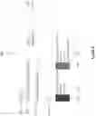Fig. 09 - Software tool for deriving colors from a reference color by varying color characteristics