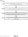 Fig. 09 - BRANCHING FOR TREE STRUCTURE IN DATABASE SYSTEM