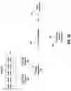 Fig. 08 - Systems and methods for utilizing object state distributions for image comparison tasks