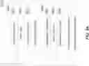 Fig. 56 - DIGITAL TOKENS THAT ARE REDEEMABLE FOR BASKETS OF ITEMS