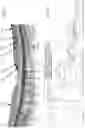 Fig. 02 - METHOD AND SYSTEM FOR AN END-TO-END DEEP LEARNING BASED OPTICAL COHERENCE TOMOGRAPHY (OCT) MULTI RETINAL LAYER SEGMENTATION