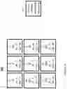 Fig. 09 - 3D MODEL GENERATION