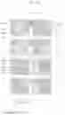 Fig. 07 - Organic light emitting display panel