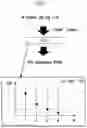 Fig. 09 - Electroluminescent display apparatus