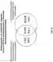 Fig. 22 - ANALYSIS OF FRAGMENTATION PATTERNS OF CELL-FREE DNA