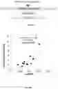 Fig. 32 - ANALYSIS OF FRAGMENTATION PATTERNS OF CELL-FREE DNA