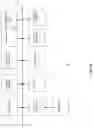 Fig. 40 - ANALYSIS OF FRAGMENTATION PATTERNS OF CELL-FREE DNA
