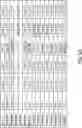 Fig. 17 - COMPOSITIONS AND METHODS FOR THERAPEUTIC MANAGEMENT OF HEART FAILURE PATIENTS
