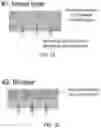 Fig. 02 - SILICON CAPACITOR WITH THIN FILM DEPOSITION ON 3D STRUCTURE AND ITS MANUFACTURING METHOD