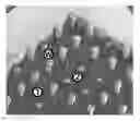 Fig. 01 - Hardmask to substrate pattern transfer method for Microfabrication of micro to mesoscale, high aspect ratio, multi-level, 3D Structures