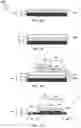 Fig. 02 - A METHOD OF MANUFACTURING A SEMI-CONDUCTING THIN FILM DEVICE