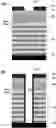 Fig. 01 - Oxygen and iodine-containing hydrofluorocarbon compound for etching semiconductor structures