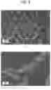 Fig. 09 - METHOD FOR PRODUCING ALUMINUM NITRIDE SUBSTRATE, ALUMINUM NITRIDE SUBSTRATE, AND METHOD FOR SUPPRESSING OCCURRENCE OF CRACKS IN ALUMINUM NITRIDE LAYER