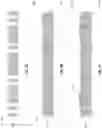 Fig. 04 - MICROELECTRONIC ASSEMBLIES WITH GLASS SUBSTRATES AND THIN FILM CAPACITORS