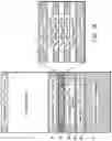 Fig. 02 - BOTTOM TUNNEL JUNCTION LIGHT-EMITTING FIELD-EFFECT TRANSISTORS
