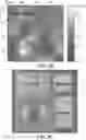 Fig. 09 - BOTTOM TUNNEL JUNCTION LIGHT-EMITTING FIELD-EFFECT TRANSISTORS