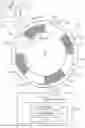 Fig. 01 - DISPLAY DEVICE, DETECTION DEVICE, AND WATCH