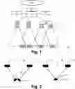 Fig. 02 - Multi-transceiver system with selective transmit branch combination for optical wireless communication