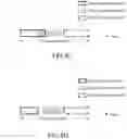 Fig. 10 - Method and device for wireless communication in UE and base station