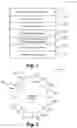 Fig. 02 - Method and apparatus for secure application framework and platform